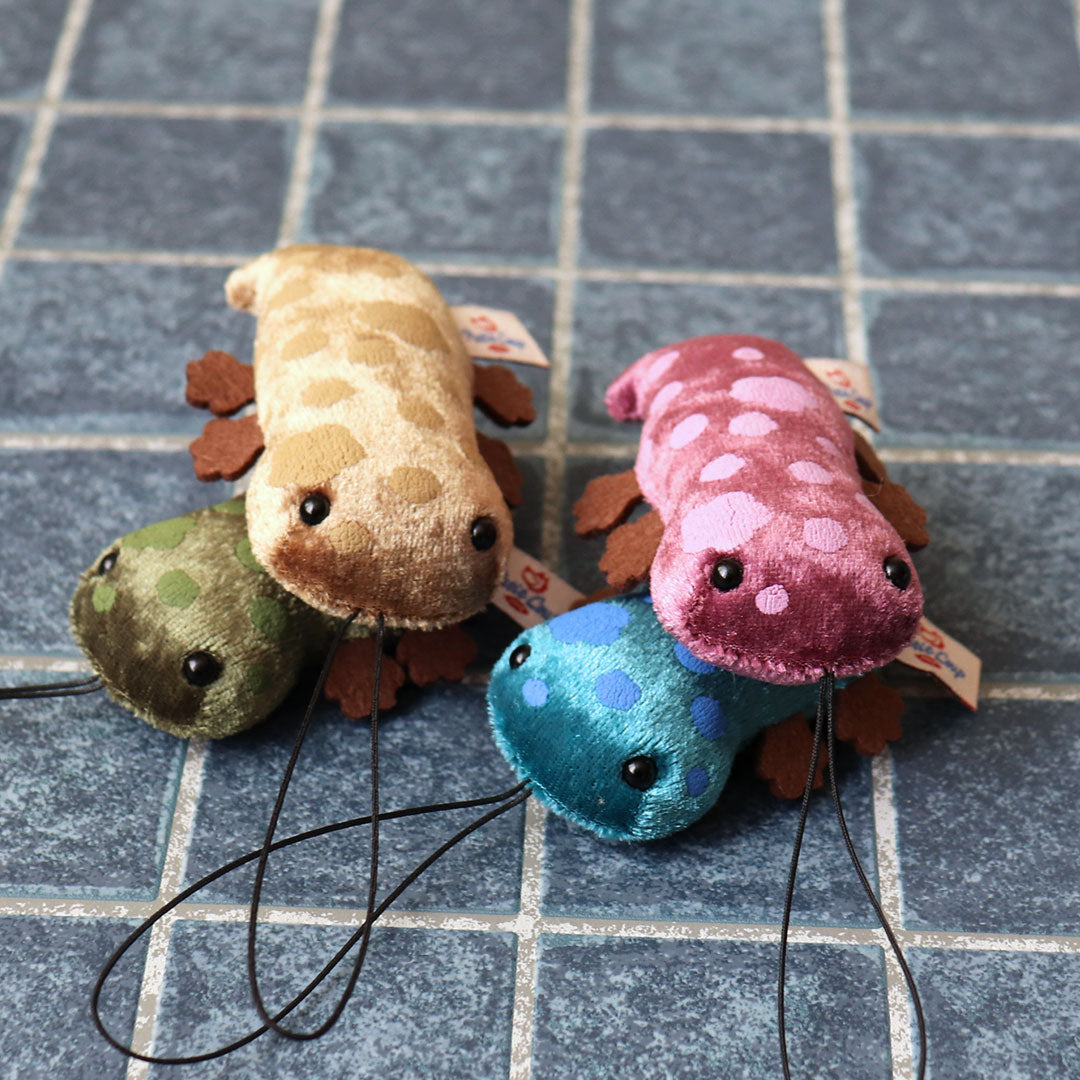 Baby Japanese Giant Salamander