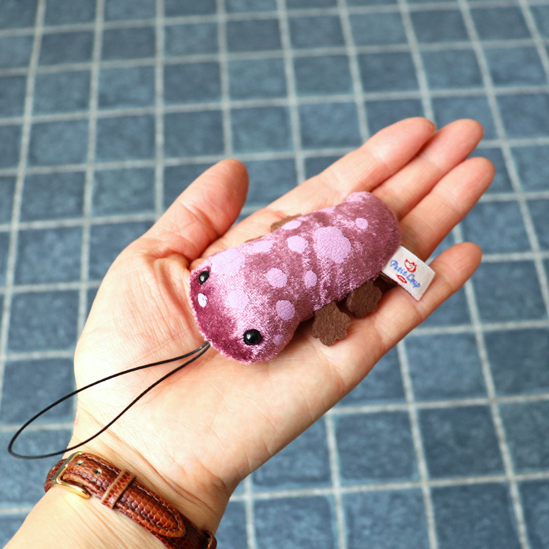 Baby Japanese Giant Salamander