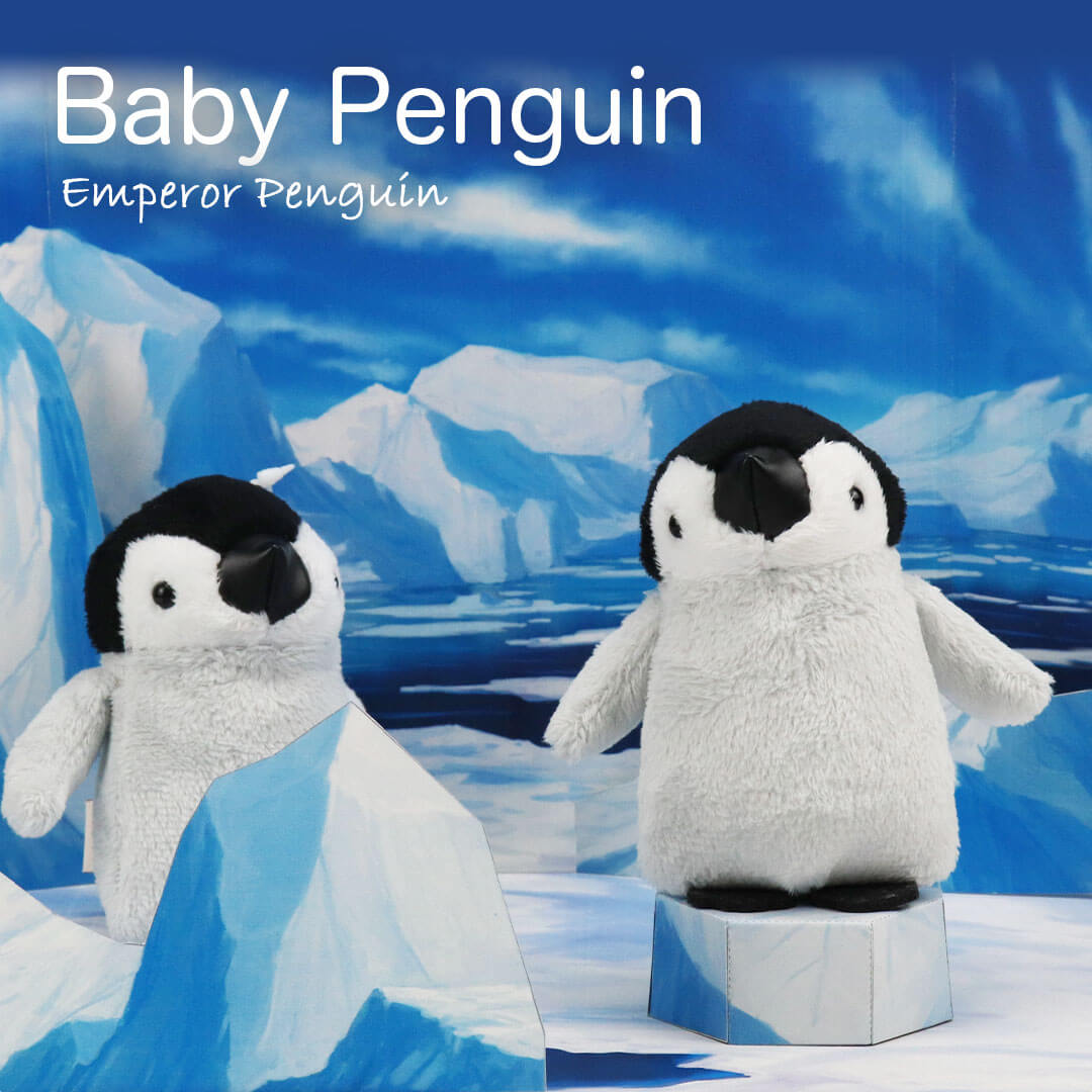 Baby Emperor Penguin