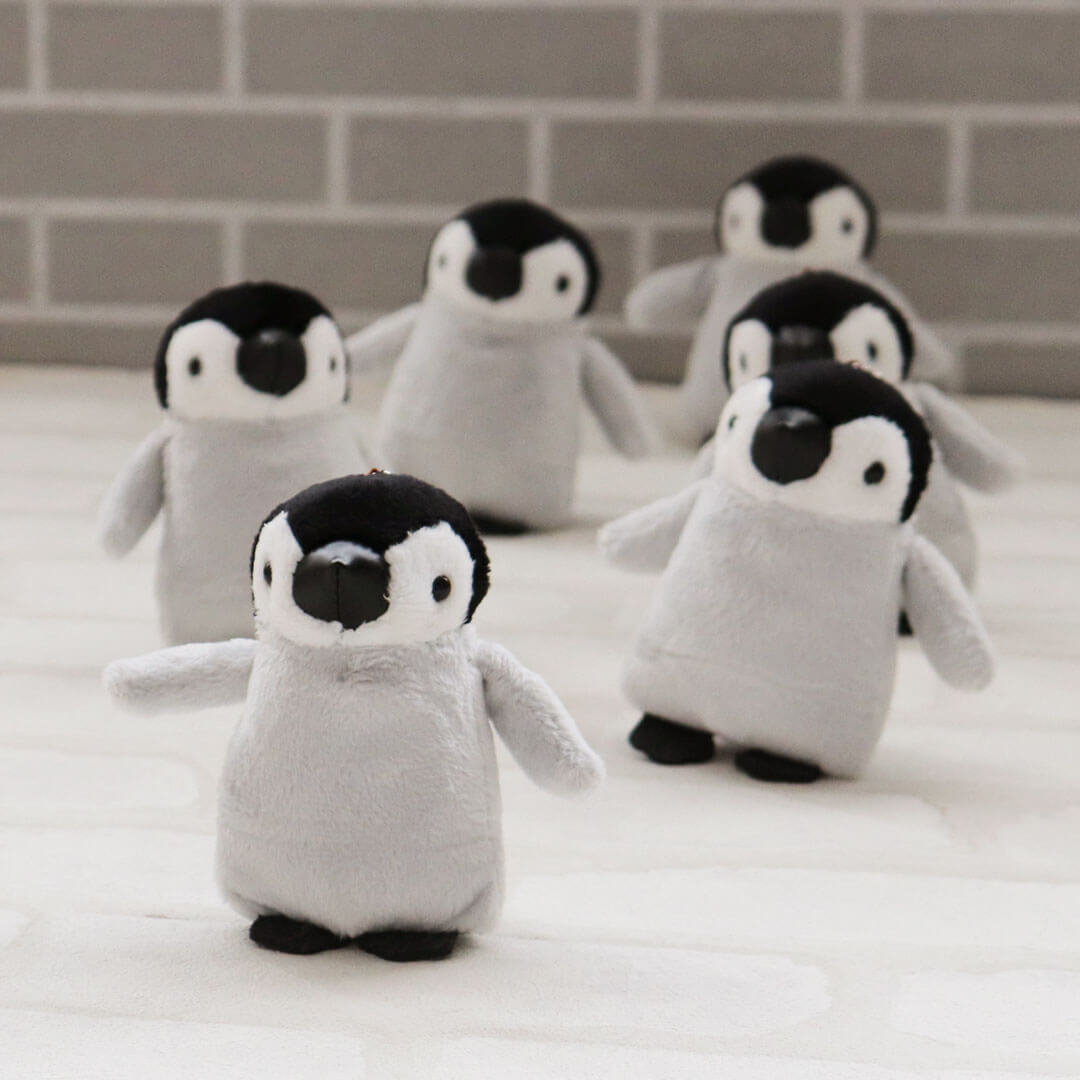 Baby Emperor Penguin