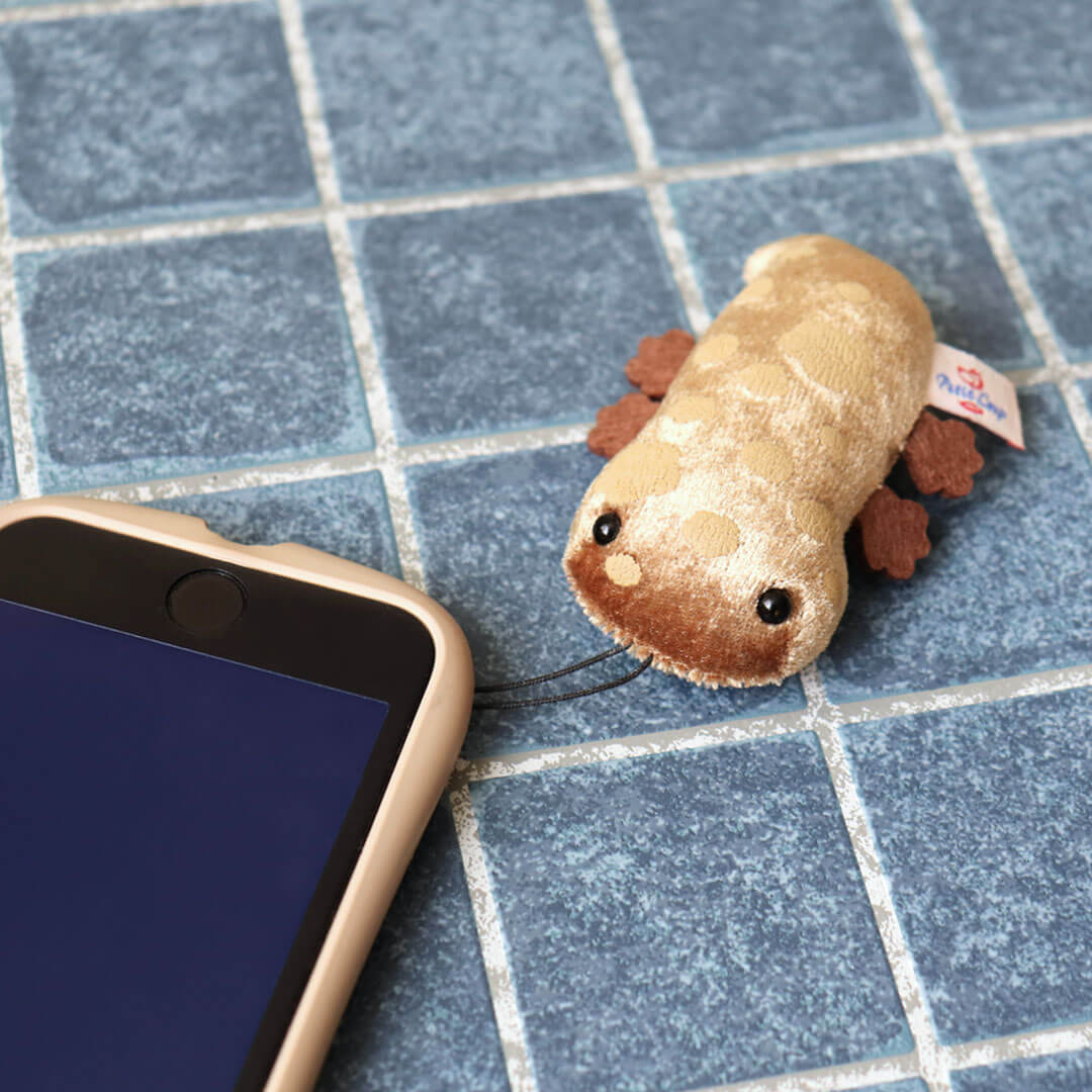 Baby Japanese Giant Salamander